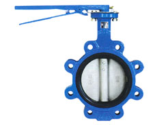 Butterfly valve to the clamp